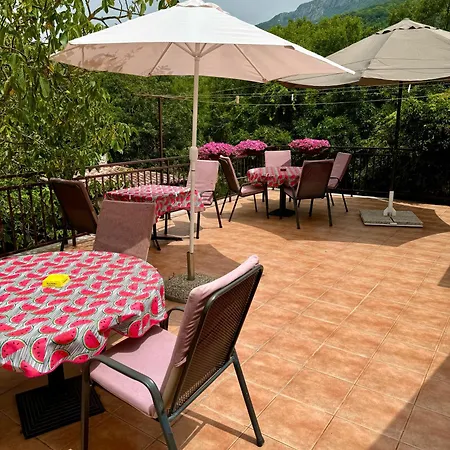 Renata בית הארחה פלומין